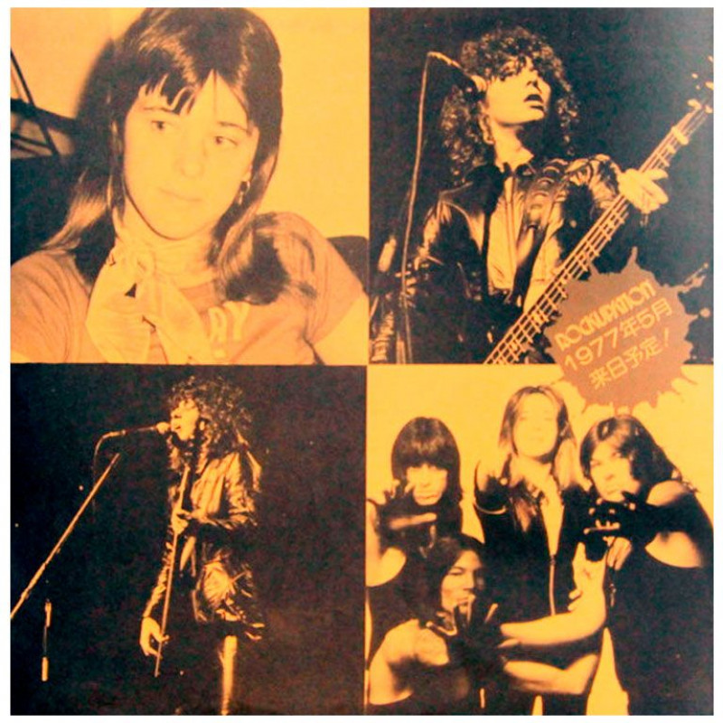Виниловая пластинка SUZI QUATRO ‎– Aggro-Phobia, 1976 (LP)
